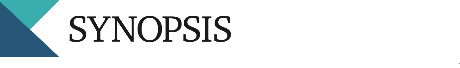 Synopsis for Technology Services